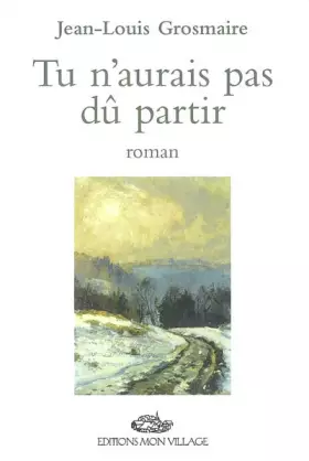Couverture du produit · Aurais pas du partir (tu n')