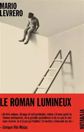 Couverture du produit · Le roman lumineux