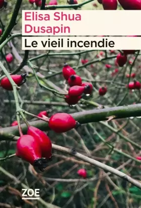Couverture du produit · Le vieil incendie