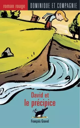 Couverture du produit · David et le précipice