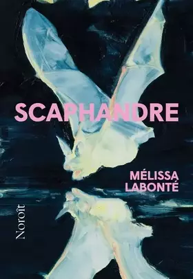 Couverture du produit · Scaphandre