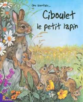 Couverture du produit · Ciboulet le petit lapin