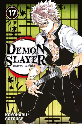 Couverture du produit · Demon Slayer T17