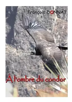 Couverture du produit · À l'ombre du condor