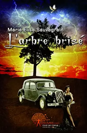 Couverture du produit · Les pesanteurs de l'ère moderne