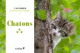 Couverture du produit · Calendrier 52 semaines Chatons
