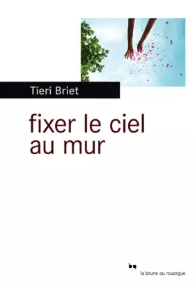 Couverture du produit · Fixer le ciel au mur