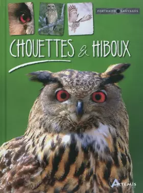 Couverture du produit · Chouettes et hiboux
