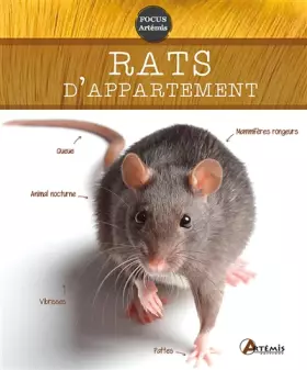 Couverture du produit · Rats d Appartement