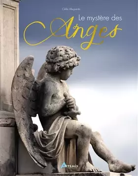 Couverture du produit · Le mystère des anges