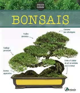 Couverture du produit · Bonsaïs