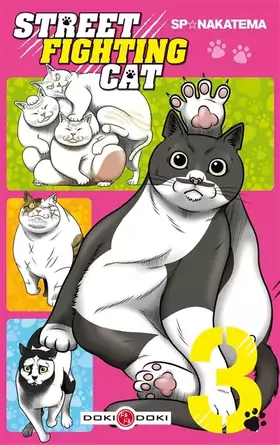 Couverture du produit · Street Fighting Cat - vol. 03