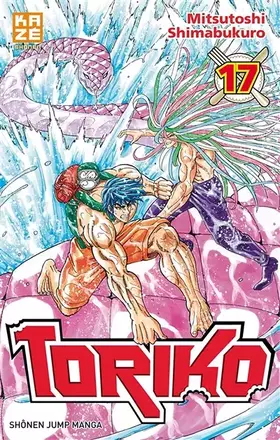 Couverture du produit · Toriko T17