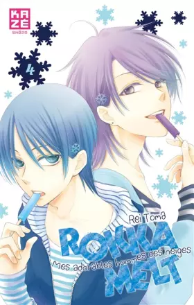 Couverture du produit · Rokka Melt T04 (Fin)