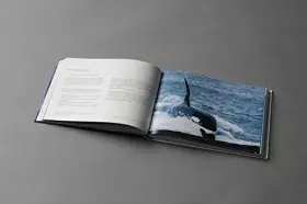 Couverture du produit · Les cétacés en questions.