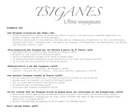 Couverture du produit · Tsiganes, l'âme voyageuse...