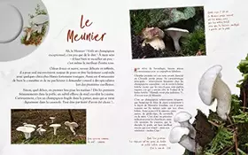 Couverture du produit · Champignons oubliés : les Chefs passent à table !