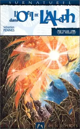 Couverture du produit · Néphilim cycle des phenix 3 - Dans l'oeil de l'Aleph