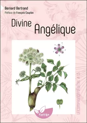 Couverture du produit · Divine Angélique - Vol. 13
