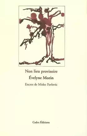 Couverture du produit · Non lieu provisoire