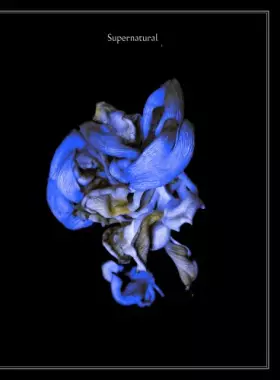 Couverture du produit · Supernatural