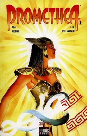 Couverture du produit · semic books