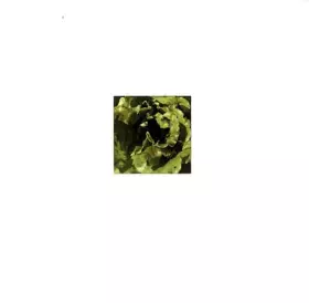 Couverture du produit · Le Jardin de l'éditeur