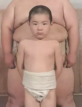 Couverture du produit · Rikishi