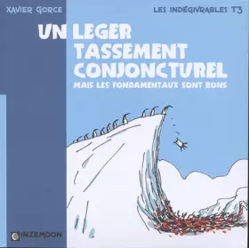 Couverture du produit · Les Indégivrables T03