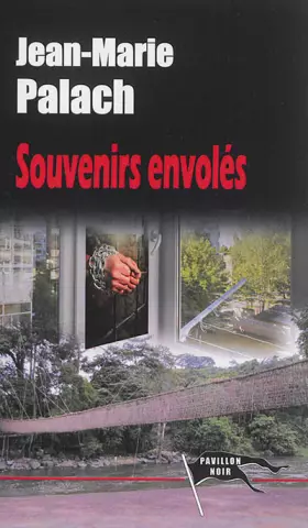 Couverture du produit · Souvenirs envolés