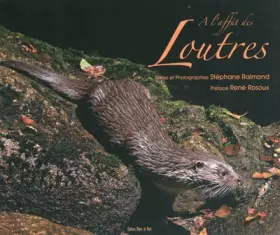Couverture du produit · A l'affût des loutres