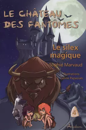 Couverture du produit · Le silex magique