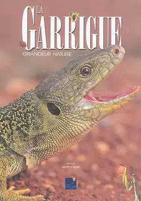 Couverture du produit · La garrigue: Grandeur nature
