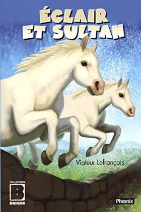 Couverture du produit · Eclair et Sultan