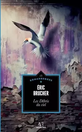 Couverture du produit · Les Débris du ciel