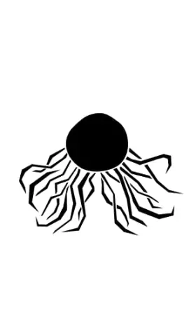 Couverture du produit · Blandine Volochot