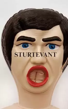 Couverture du produit · Sturtevant: Image Over Image