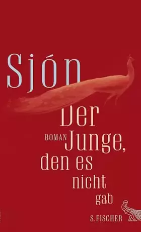Couverture du produit · Der Junge, den es nicht gab: Roman