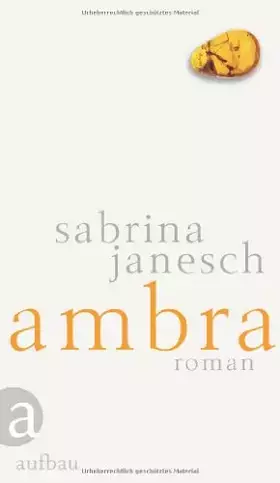 Couverture du produit · Ambra: Roman