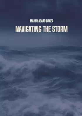 Couverture du produit · Navigating the storm: DE