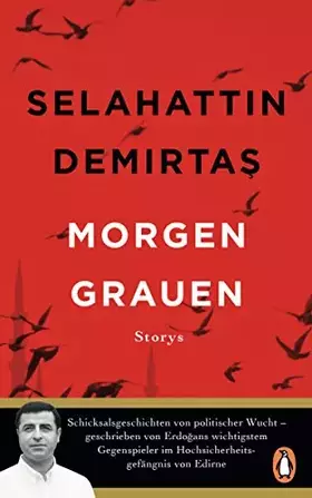 Couverture du produit · Morgengrauen: Storys