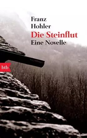 Couverture du produit · Die Steinflut: Eine Novelle