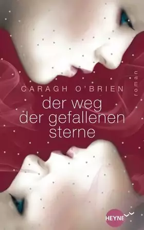 Couverture du produit · Der Weg der gefallenen Sterne