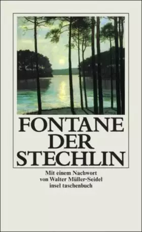 Couverture du produit · Der Stechlin (insel taschenbuch)
