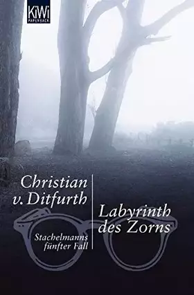 Couverture du produit · Labyrinth des Zorns: Stachelmanns fünfter Teil