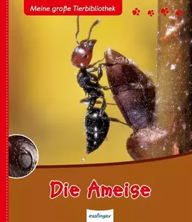 Couverture du produit · Die Ameise (Meine große Tierbibliothek)