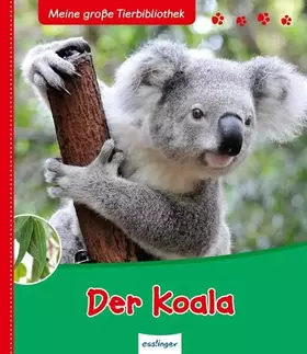 Couverture du produit · Der Koala: Meine große Tierbibliothek