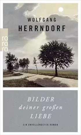 Couverture du produit · Bilder deiner großen Liebe: Ein unvollendeter Roman