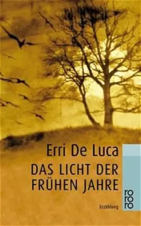 Couverture du produit · Das Licht der frühen Jahre.