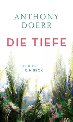 Couverture du produit · Die Tiefe: Stories
